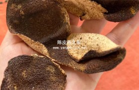 用哪种橘子皮做陈皮口感最好