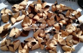 陈皮桑叶鱼腥草有什么功效