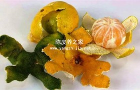 用芭蕉橘皮可以制作陈皮吗