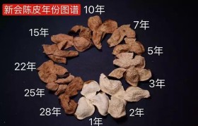 陈化10-20年的新会陈皮的特点