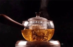 用什么壶煮陈皮最好