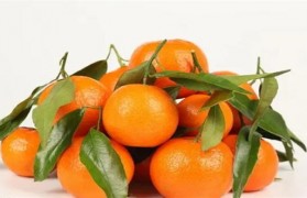 柑橘的营养价值及功效与作用