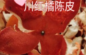 川红橘陈皮好还是新会陈皮好