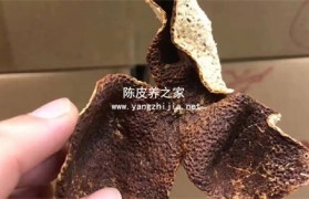 药用陈皮价格高低跟什么有关