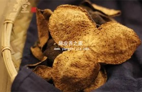 通过哪些特点能区分陈皮的年份