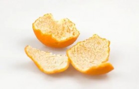 所有柑橘皮都可以做陈皮？