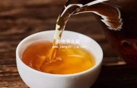 湿仓陈皮能够用于日常煮养生茶吗