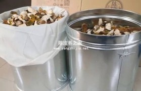 不同容器对陈皮保存有什么影响