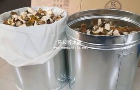 陈皮陈化过程中要注意什么