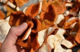 芦柑皮可以做陈皮吗?芦柑皮和橘子皮的区别