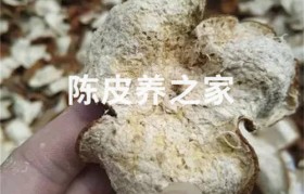 发霉的新会陈皮还能补救吗？