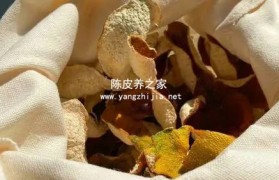 用布袋装陈皮可以吗