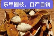 东甲陈皮好还是天马陈皮好