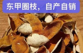 东甲陈皮好还是天马陈皮好