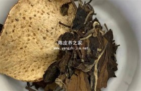 陈皮和白茶泡水喝的功效与作用