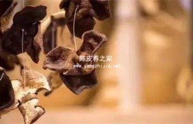 怎样保存低年份的陈皮