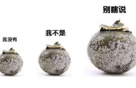 做小青柑时用的什么普洱茶