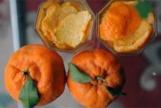 丑橘和耙耙柑的皮能做陈皮吗