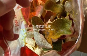 怎样保存陈皮最好