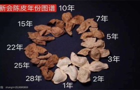 陈皮要几年的才可以泡水喝