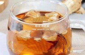 怎样买新会陈皮茶