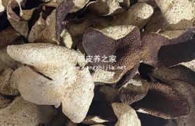 苹果枣姜冰糖橘子皮有什么功效和作用