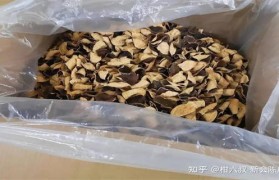 紫外灯杀菌对陈皮有影响吗