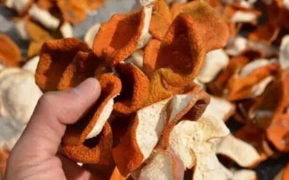 芦柑皮可以做陈皮吗?芦柑皮和橘子皮的区别