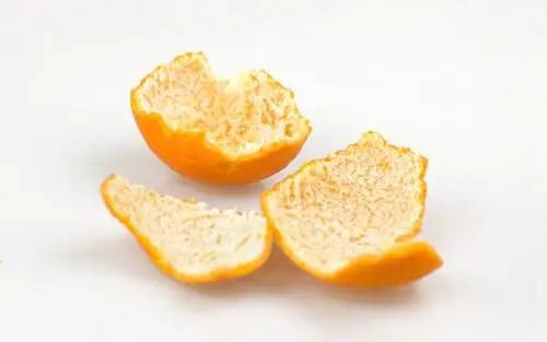 所有柑橘皮都可以做陈皮？  1