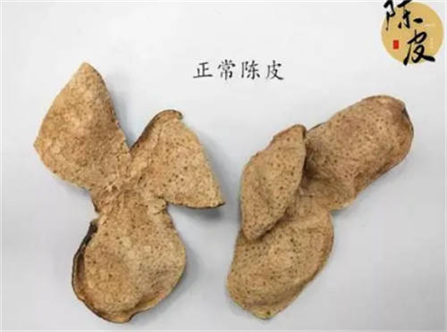 橘子皮能当成陈皮泡水喝吗  橘子皮和陈皮有什么区别  2