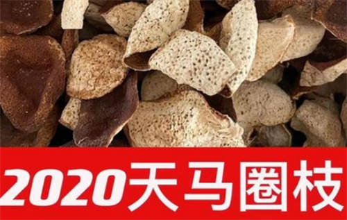 天马陈皮与梅江陈皮的区别  1