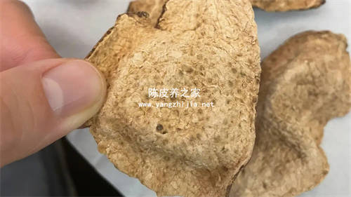 怎么鉴别工艺陈皮  5