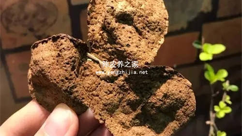 药店的陈皮跟煲糖水的陈皮有啥区别吗  1