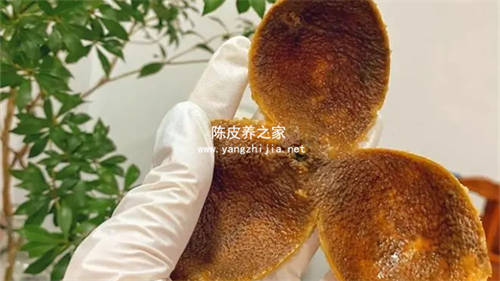 陈皮过了保质期还能食用吗  2