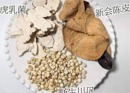 虎乳菌可以和陈皮一起煮吗  2