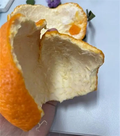 丑橘和耙耙柑的皮能做陈皮吗  2