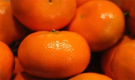 柑橘的营养价值及功效与作用  2