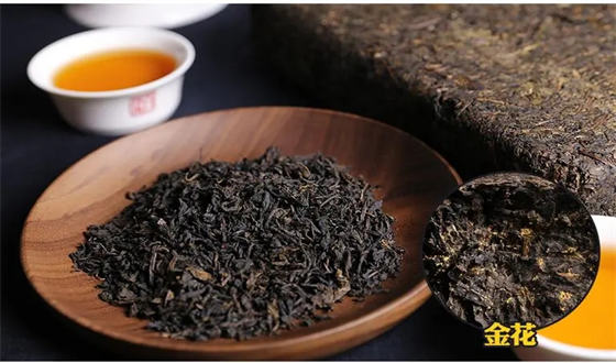 陈皮可以和黑茶一起泡水喝吗  2