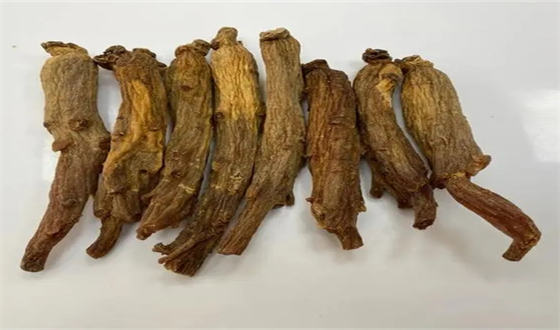 高丽参和陈皮常喝有什么好处  1